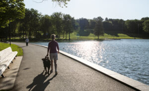 Personne se promenant avec son chien guide au bord du lac aux castors
