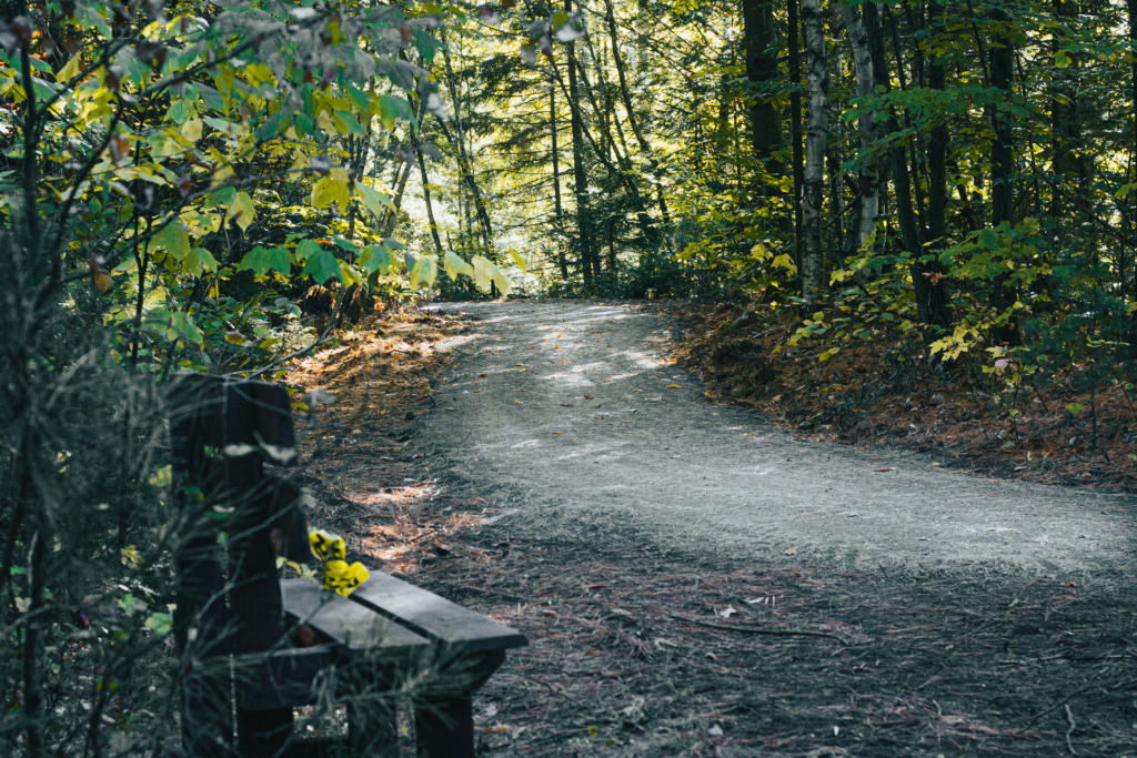 Sentiers de gravier entouré d'arbres et un banc pour se reposer