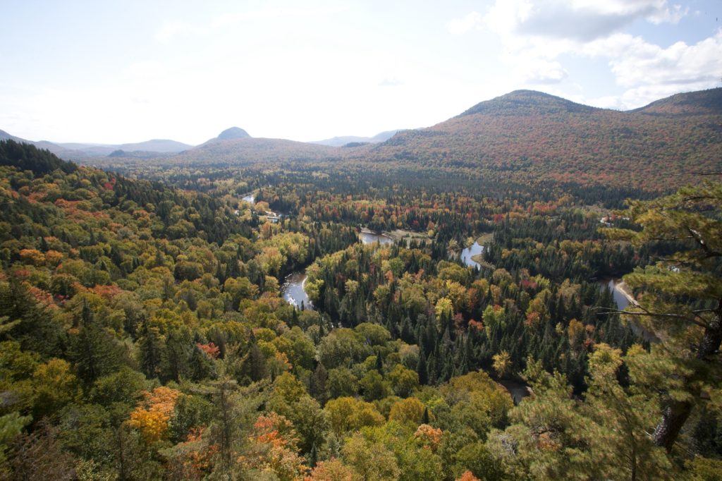 Vue aérienne d'une forêt d'automne colorée, traversée par une rivière sinueuse, avec des montagnes à l'arrière-plan.