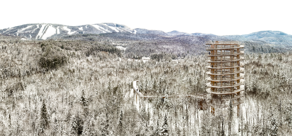 Sorties hivernales en famille : activités accessibles à travers le Québec