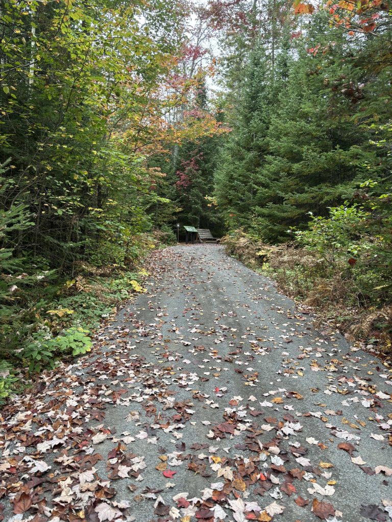 Sentier de randonnée accessible recouvert de poussière de roche, entouré d’arbres aux couleurs automnales aux Chalets Lanaudière.