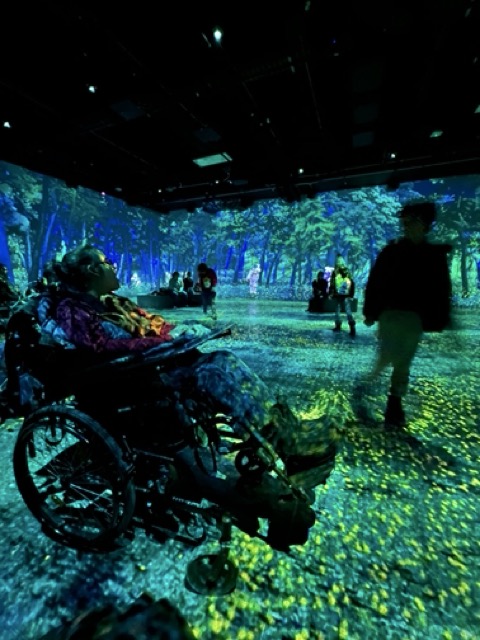 Personnes en fauteuil roulant et debout dans une salle immersive avec des projections lumineuses représentant une forêt.